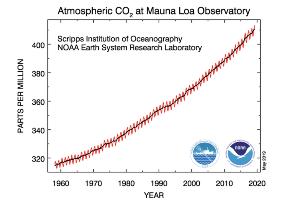 NOAA graph of CO2 vs time short term
